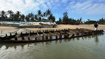 ספינה עתיקה התגלתה בחוף הוי אן: רשות הנמלים הימית של דא נאנג מתבטאת