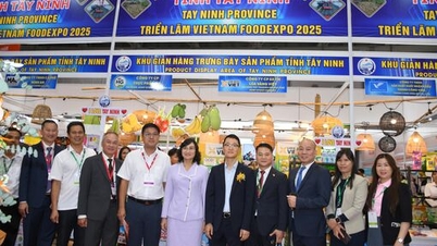 Tay Ninh ចូលរួមក្នុងពិព័រណ៍ឧស្សាហកម្មម្ហូបអាហារអន្តរជាតិវៀតណាមឆ្នាំ 2025