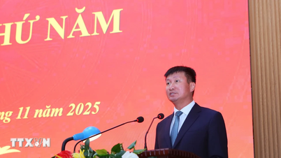 លោក Tran Huy Tuan កាន់តំណែងជាប្រធានគណៈកម្មាធិការប្រជាជនខេត្ត Ninh Binh