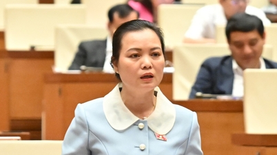 ក្រុមហ៊ុនអាកាសចរណ៍ត្រូវបានស្នើសុំឱ្យបញ្ជាក់ឱ្យបានច្បាស់លាស់អំពីមូលហេតុនៃការពន្យារពេលជើងហោះហើរ និងការលុបចោល ហើយត្រូវបង់ការប្រាក់ប្រសិនបើសំណងហួសកាលកំណត់។