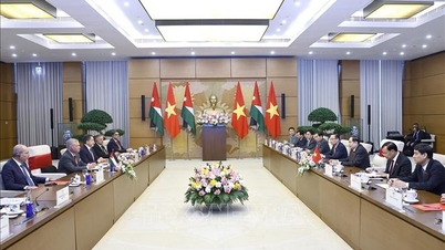 រដ្ឋសភាវៀតណាមត្រៀមខ្លួនជាស្រេចជំរុញគោលនយោបាយគាំទ្រកិច្ចសហប្រតិបត្តិការទ្វេភាគីជាមួយហ្ស៊កដានី