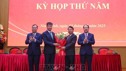 លោក Tran Huy Tuan កាន់តំណែងជាប្រធានគណៈកម្មាធិការប្រជាជនខេត្ត Ninh Binh