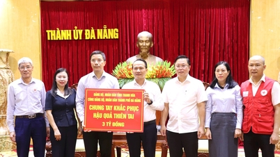 Thanh Hoa ឧបត្ថម្ភ Da Nang ចំនួន ៣ពាន់លានដុង ដើម្បីជម្នះការខូចខាតដោយសារទឹកជំនន់