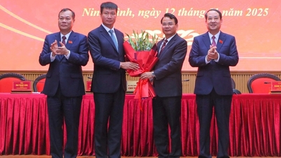 Tran Huy Tuan urat nevezték ki a Ninh Binh Tartományi Népi Bizottság elnökévé.