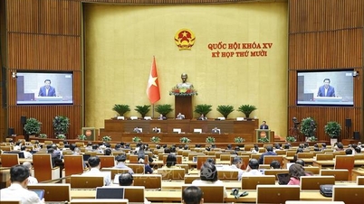 Az alacsony magasságú repülés fejlődése a gazdasági és társadalmi életben