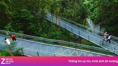 Singapura - 'syurga hijau' untuk mereka yang suka menerokai denai