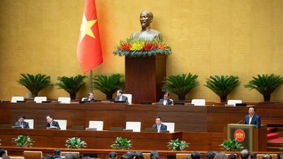 Forskning om legalisering av utvecklingen av låghöjdsflygekonomi