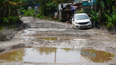 דונג נאי: הדרך לשום גוק מלאה בורות