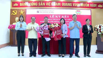 חתימה על הסכם שיתוף פעולה בין סניף אגריבנק דואן קט לאי צ'או לבין התאחדות החקלאים של טנ פונג וורד