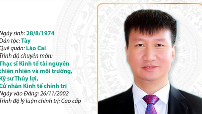 អនុលេខាគណៈកម្មាធិការបក្សខេត្ត ប្រធានគណៈកម្មាធិការប្រជាជនខេត្ត Ninh Binh លោក Tran Huy Tuan