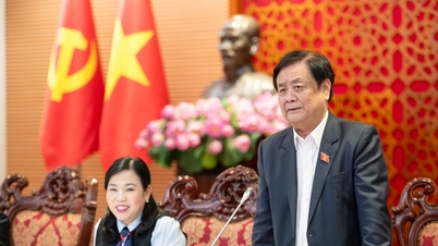 Naib Pengerusi Perhimpunan Kebangsaan Le Minh Hoan menghadiri sesi pleno Jawatankuasa Sains, Teknologi dan Alam Sekitar.