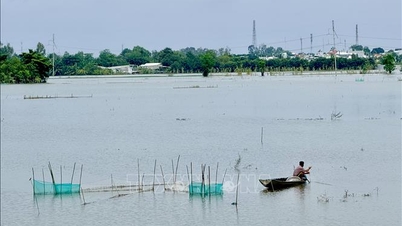 Ketinggian air di Sungai Hau di stasiun Long Xuyen masih menimbulkan risiko banjir.
