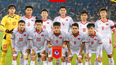 ចំណាត់ថ្នាក់ចុងក្រោយ Panda Cup 2025៖ U22 វៀតណាម បង្កការភ្ញាក់ផ្អើល