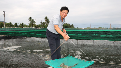 Tỷ phú nuôi tôm công nghệ cao