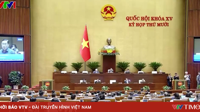អ្នកទោសមានសិទ្ធិបរិច្ចាគជាលិកា និងសរីរាង្គរបស់មនុស្ស។