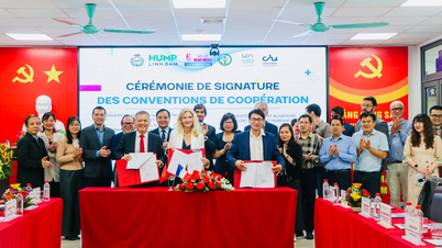 កិច្ចសហប្រតិបត្តិការលើកកំពស់សមត្ថភាពវេជ្ជបណ្ឌិត និងបុគ្គលិកពេទ្យវៀតណាម