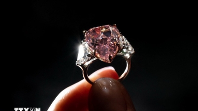 De Zwarte Valk - Een zeldzaam meesterwerk in de diamantindustrie