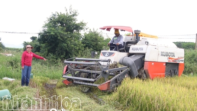 Збагатіться за допомогою механізації сільського господарства