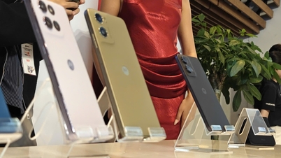 Motorola ត្រលប់មកទីផ្សារស្មាតហ្វូនវៀតណាមវិញ។