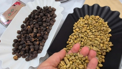 តម្លៃកាហ្វេថ្ងៃនេះ ថ្ងៃទី 13 ខែវិច្ឆិកា ឆ្នាំ 2025៖ អតិរេកផលិតកម្មកសិកម្មបានកត់ត្រា 18 ពាន់លានដុល្លារ