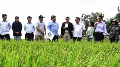 Üretimde dönüşümlü ıslak ve kuru sulama teknolojisinin uygulanması