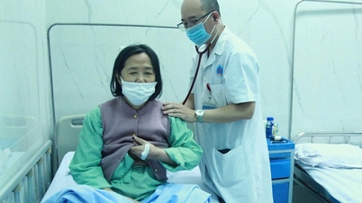 ច្បាប់ទាំង ៥ ដើម្បីលើកកម្ពស់សុខភាពមនុស្សចាស់ពេលភ្លៀងត្រជាក់