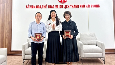 Poradenství při budování hudebního města Hai Phong dle kritérií UNESCO