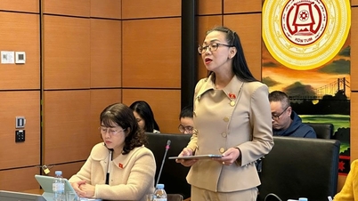 បំភ្លឺគំនិតមួយចំនួន ដើម្បីធានាបាននូវកម្មវត្ថុវិទ្យាសាស្ត្រក្នុងការវាយតម្លៃ