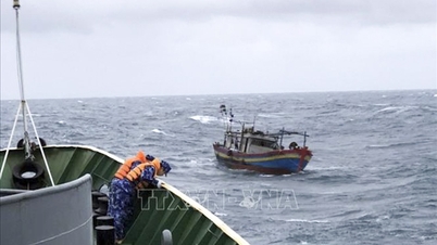 Météo du 13 novembre : Nuits froides dans le Nord, vents forts et grosses vagues en mer