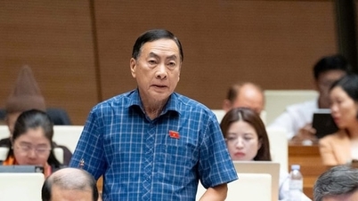 ১৩ নভেম্বর, ২০২৫ তারিখের হ্যানয় মোই সংবাদপত্রের বিশেষ সংবাদ