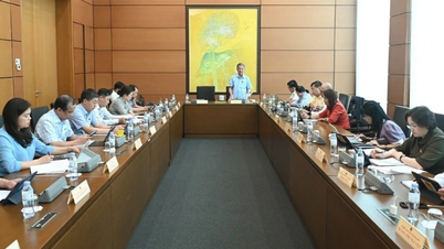 प्रतिभा प्रबंधन और प्रतिभाशाली लोगों के मूल्यांकन पर हो ची मिन्ह के विचारों को बढ़ावा देना