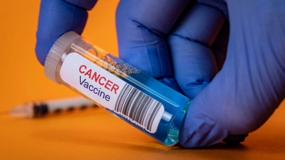 Ce conține medicamentul împotriva cancerului Pembroria, recent autorizat?