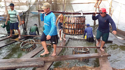 ទិន្នផល​វារីវប្បកម្ម និង​ជលផល​សរុប​សម្រេច​បាន ៦៣៣ ០១៨ តោន