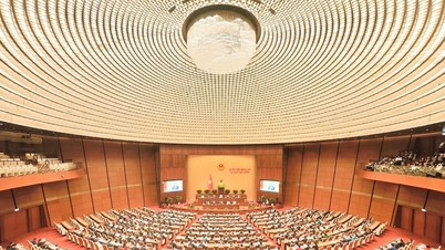 Ändring av lagen om insättningsgaranti - Stärkande av insättningsgarantiorganisationernas roll för att bättre skydda insättarnas rättigheter