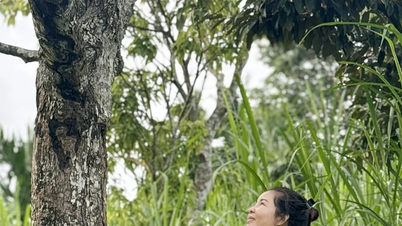 Povo Muong de Phu Tho, nas Terras Altas Centrais