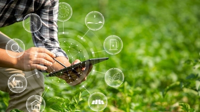 হো চি মিন সিটি: পরিষ্কার কৃষি পণ্যের সাথে, টেকসই নগর এলাকার ভিত্তি তৈরি করা