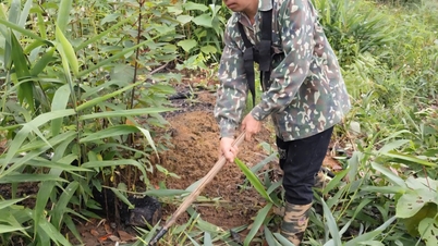 Kien Moc: Rijk worden uit het bos