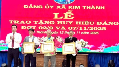 Direktøren for Hai Phongs avdeling for vitenskap og teknologi samarbeider med lederne i Kim Thanh-kommunen om å drive lokalt styre på to nivåer