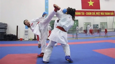 Vietnam Sporları 33. Güneydoğu Asya Oyunlarına Hazırlanıyor: Tıbbi Aşamadan Gelen Zorluklar