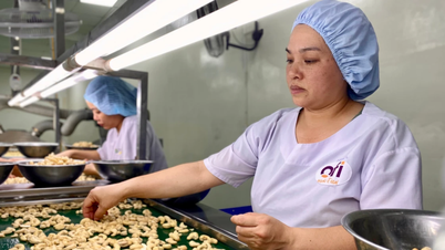 ការអនុម័តនីតិវិធីផ្ទៃក្នុងសម្រាប់ដោះស្រាយនីតិវិធីរដ្ឋបាលអន្តរទំនាក់ទំនងចំនួន 7 និងនីតិវិធីរដ្ឋបាលមិនជាប់ពាក់ព័ន្ធចំនួន 2 ក្នុងវិស័យវិនិយោគ