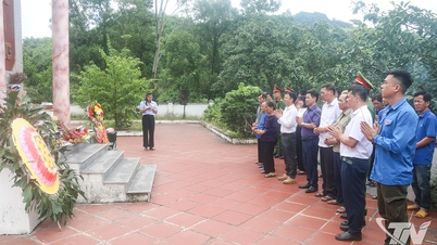 Quang Son អនុវត្តការងារដឹងគុណ និងតបស្នងប្រកបដោយប្រសិទ្ធភាព។