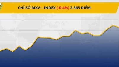 ទីផ្សារទំនិញស្ថិតក្នុងភាពចលាចល៖ តម្លៃកាហ្វេធ្លាក់ចុះយ៉ាងខ្លាំង ប្រាក់បានឈានដល់កំណត់ត្រា