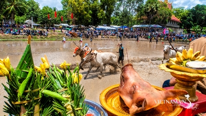 Pesta Lumba Lembu Lembu Pagoda Ro