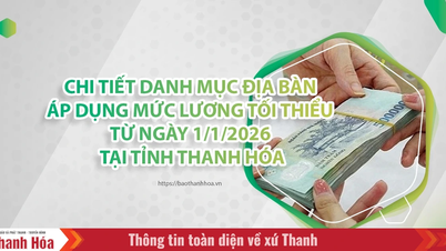 [אינטראקטיבי] פרטים על רשימת המיקומים בהם חל שכר מינימום החל מ-1 בינואר 2026 בתאן הואה