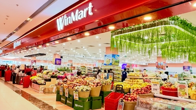 یک شرکت با رتبه VN30 سودی بیش از 1800 میلیارد دلار در هر سه ماه به دست می‌آورد