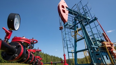 Bensinpriser i dag (13. november): Kraftig nedgang