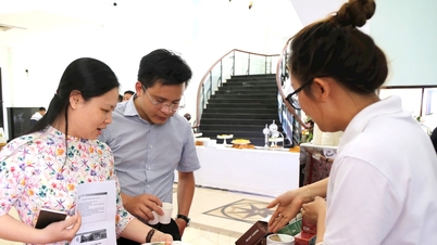 Banyak penyelesaian diperlukan untuk mempromosikan e-dagang di Lam Dong.