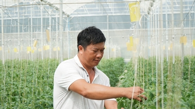 កសិកម្មឆ្លាតវៃ - មូលនិធិនិរន្តរភាពសម្រាប់តំបន់ជនបទថ្មីនៅ Lam Dong