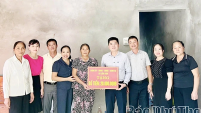 ពីសាមគ្គីភាពទៅជាសកម្មភាពជាក់ស្តែង