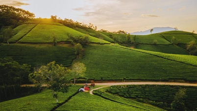 លើក​កម្ពស់​ការ​អភិវឌ្ឍ​ទេសចរណ៍​បៃតង​នៅ​ឃុំ​ឡុងកុក